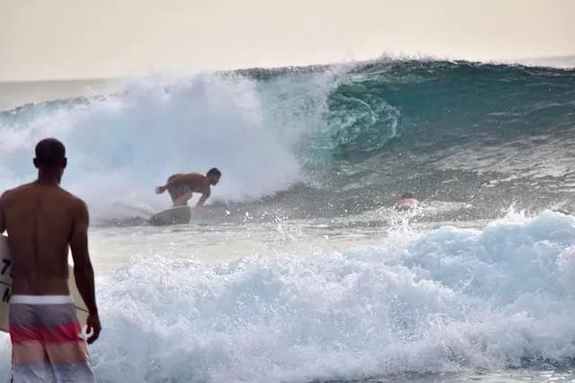 Surfista a percorrer a parede de uma onda.